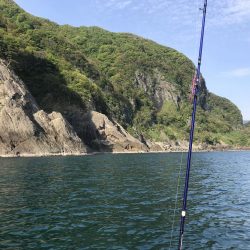 バラエティ豊か